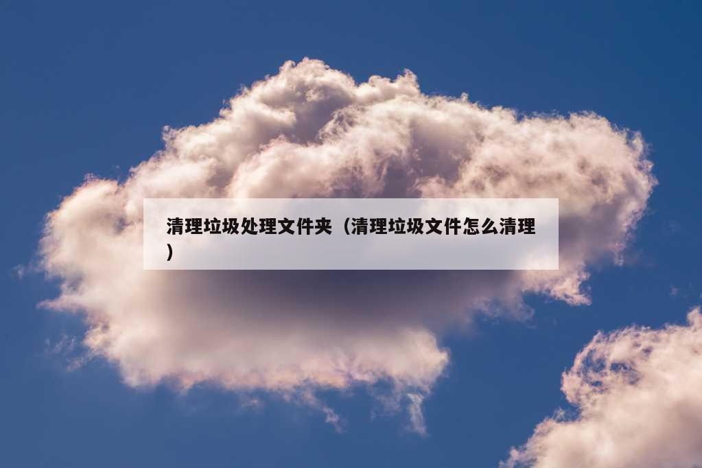 清理垃圾处理文件夹（清理垃圾文件怎么清理）