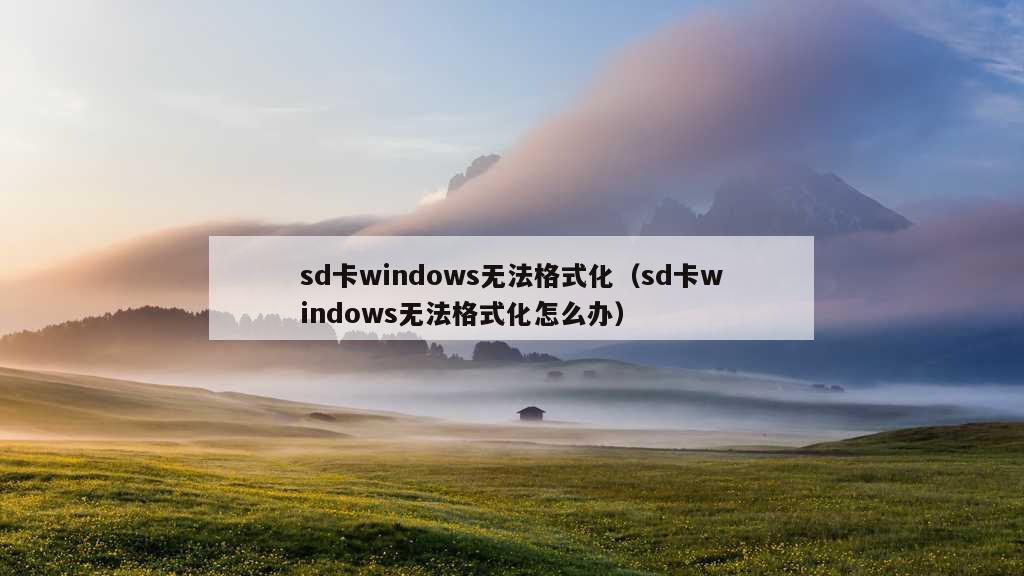 sd卡windows无法格式化（sd卡windows无法格式化怎么办）