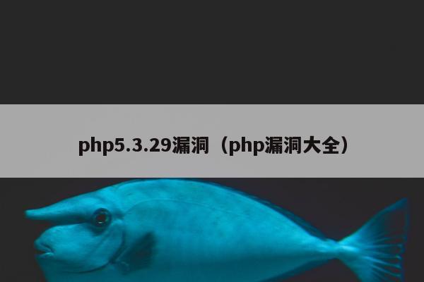 php5.3.29漏洞（php漏洞大全）