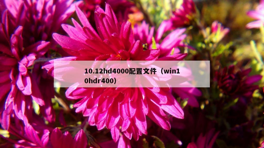 10.12hd4000配置文件（win10hdr400）