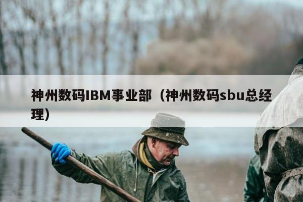 神州数码IBM事业部（神州数码sbu总经理）