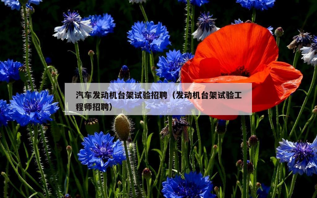 汽车发动机台架试验招聘（发动机台架试验工程师招聘）