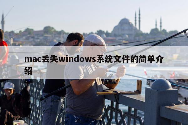 mac丢失windows系统文件的简单介绍