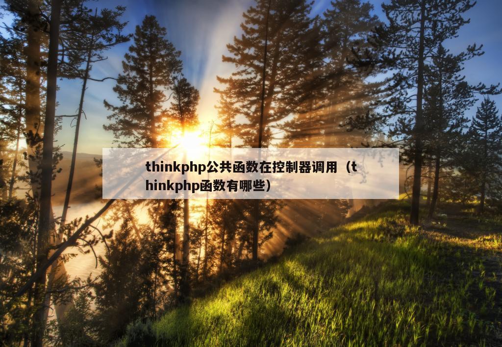 thinkphp公共函数在控制器调用（thinkphp函数有哪些）