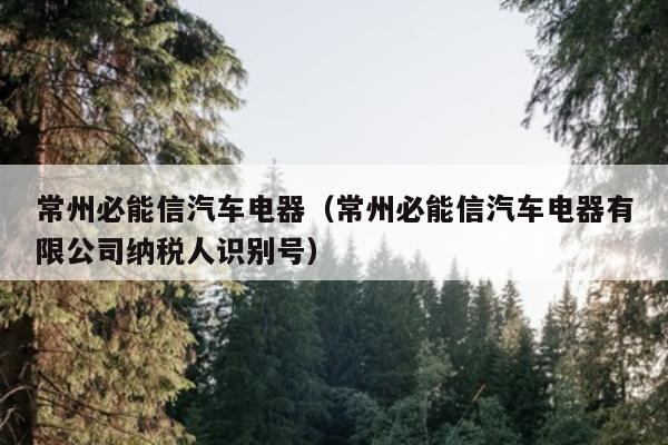 常州必能信汽车电器（常州必能信汽车电器有限公司纳税人识别号）