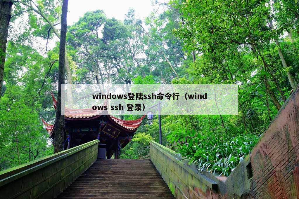 windows登陆ssh命令行（windows ssh 登录）