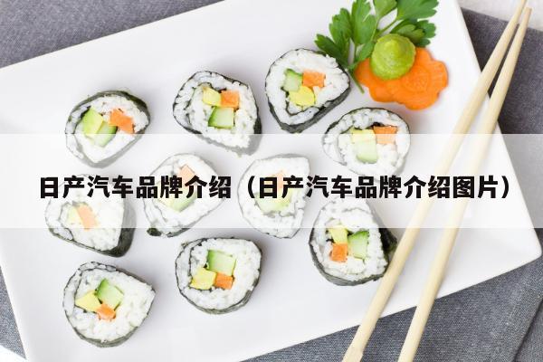 日产汽车品牌介绍（日产汽车品牌介绍图片）