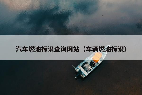 汽车燃油标识查询网站（车辆燃油标识）