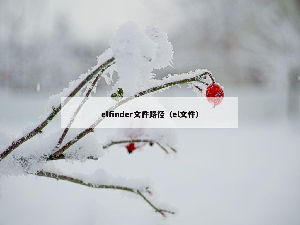 elfinder文件路径（el文件）