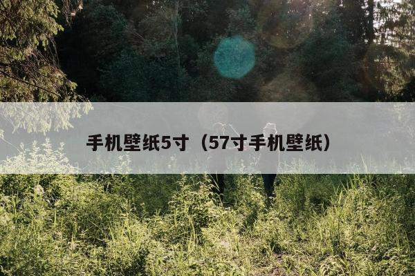 手机壁纸5寸（57寸手机壁纸）