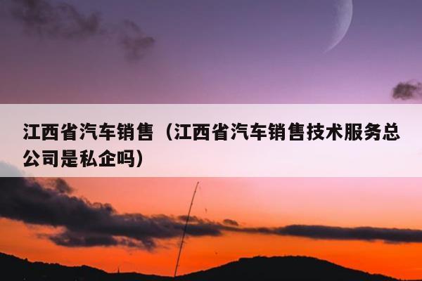 江西省汽车销售（江西省汽车销售技术服务总公司是私企吗）