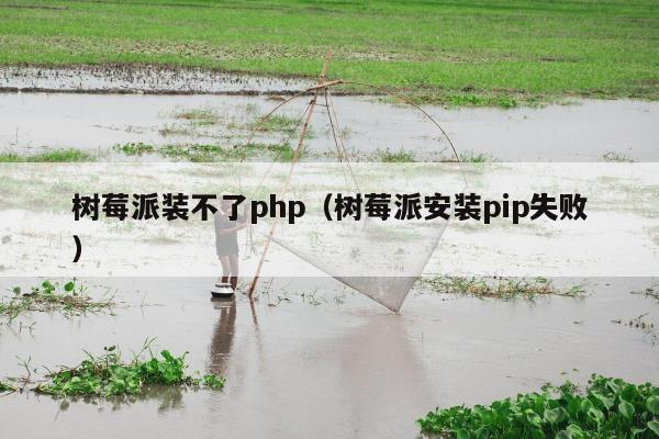 树莓派装不了php（树莓派安装pip失败）