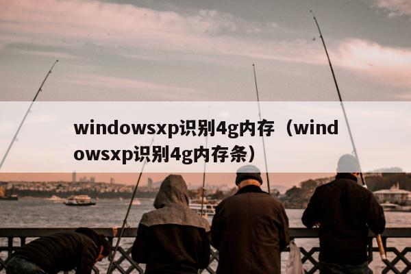 windowsxp识别4g内存（windowsxp识别4g内存条）