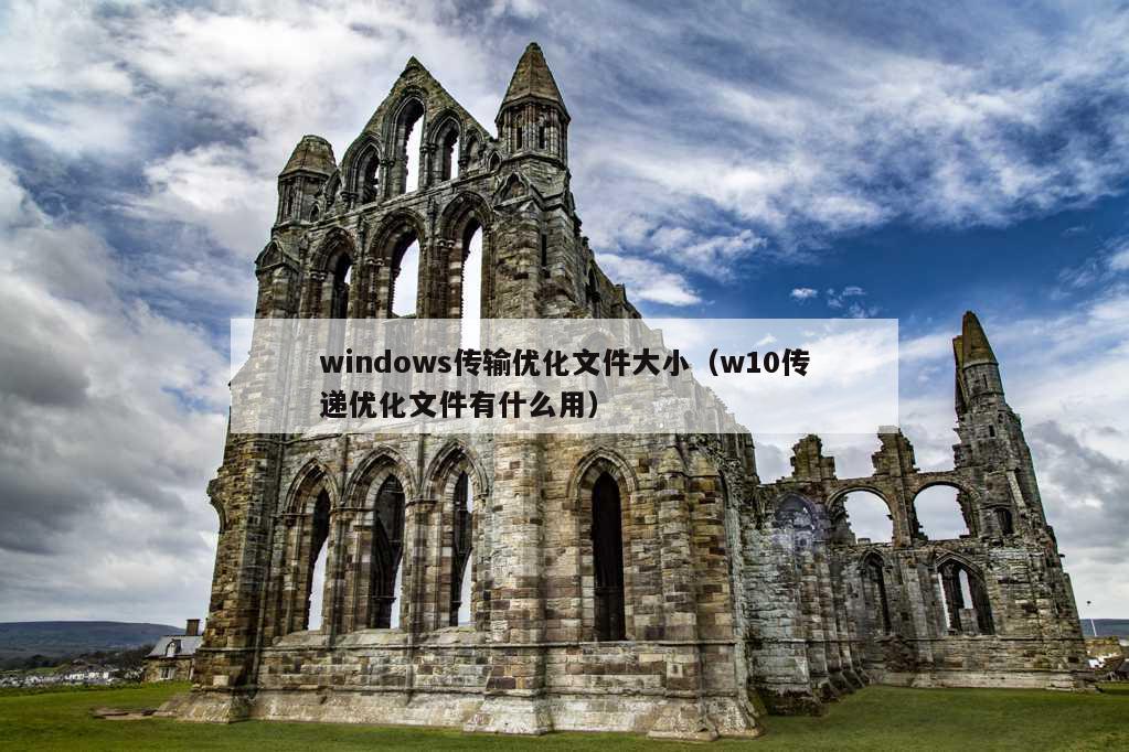 windows传输优化文件大小（w10传递优化文件有什么用）