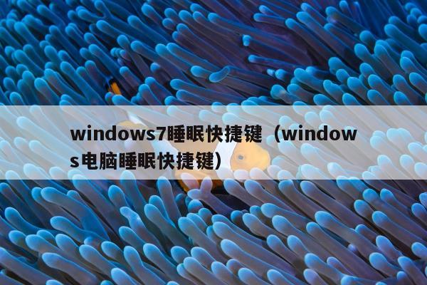 windows7睡眠快捷键（windows电脑睡眠快捷键）