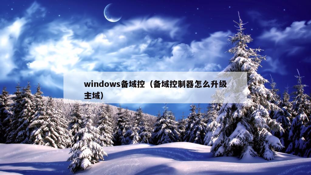 windows备域控（备域控制器怎么升级主域）