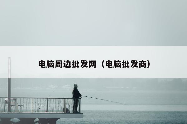 电脑周边批发网（电脑批发商）