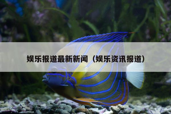 娱乐报道最新新闻（娱乐资讯报道）