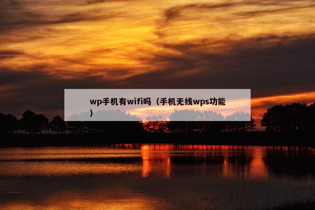 wp手机有wifi吗（手机无线wps功能）