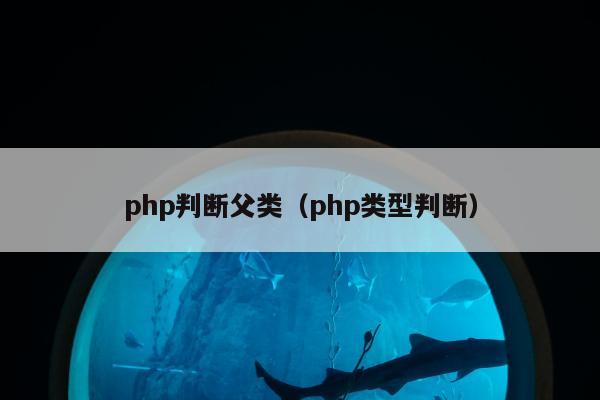 php判断父类（php类型判断）