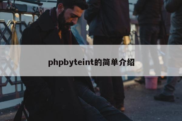 phpbyteint的简单介绍