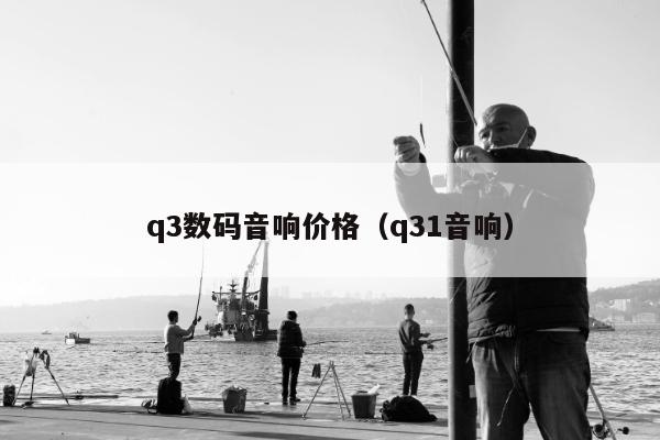 q3数码音响价格（q31音响）