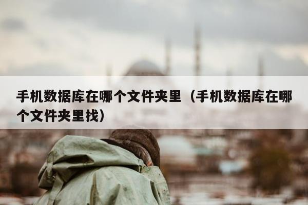 手机数据库在哪个文件夹里（手机数据库在哪个文件夹里找）