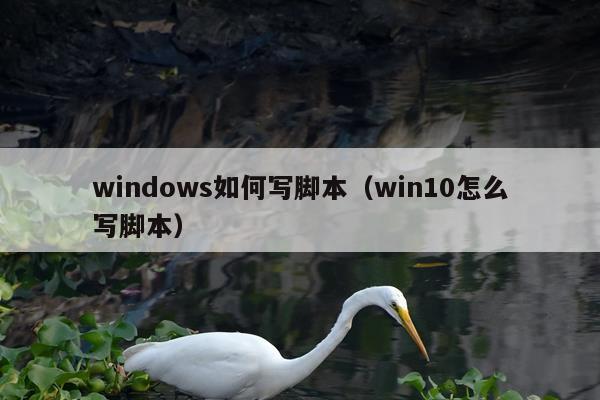 windows如何写脚本（win10怎么写脚本）