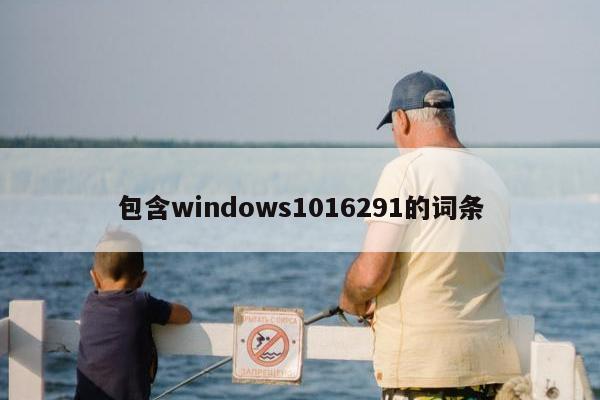 包含windows1016291的词条