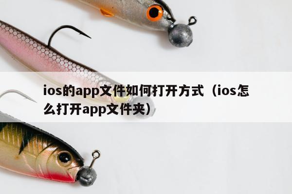 ios的app文件如何打开方式（ios怎么打开app文件夹）