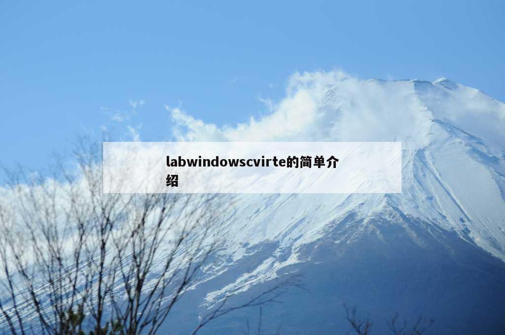 labwindowscvirte的简单介绍