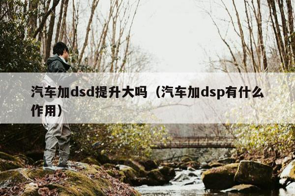 汽车加dsd提升大吗（汽车加dsp有什么作用）