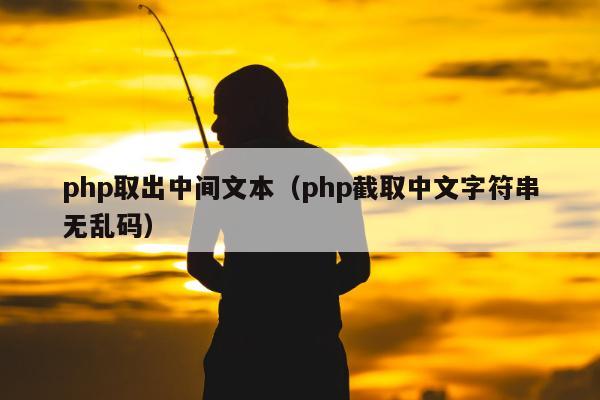 php取出中间文本（php截取中文字符串无乱码）