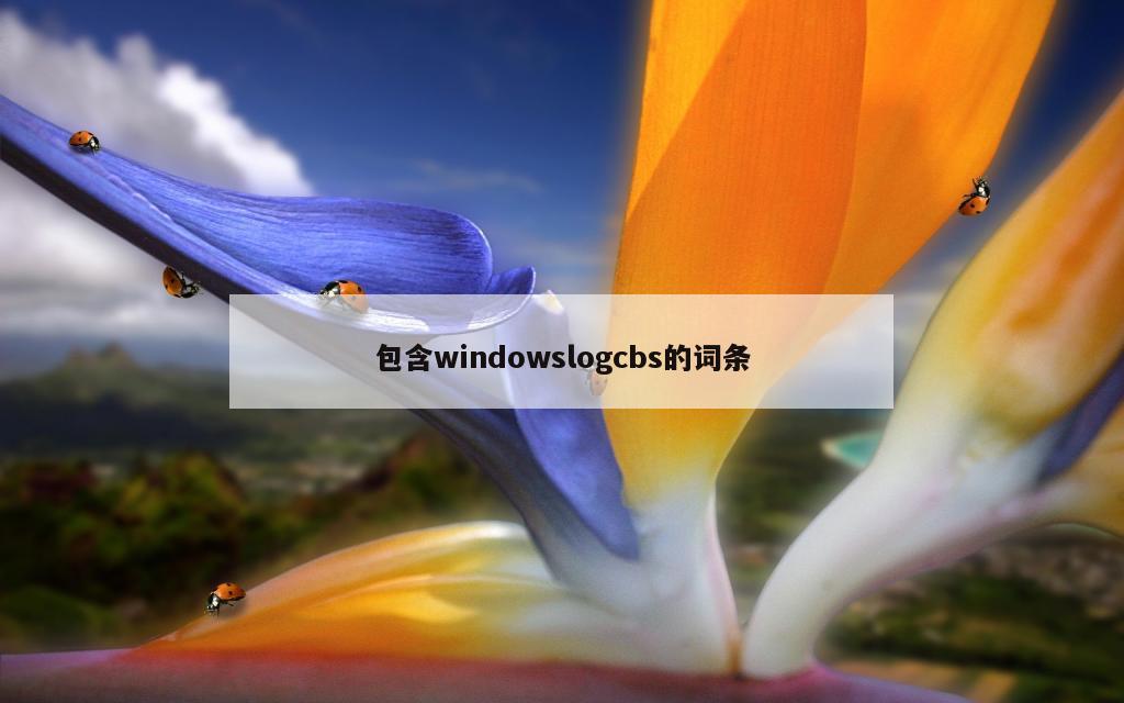 包含windowslogcbs的词条