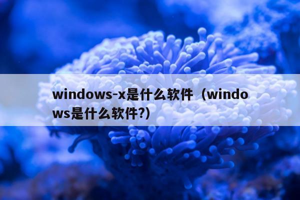 windows-x是什么软件（windows是什么软件?）