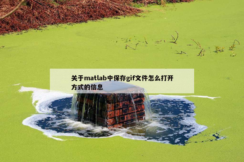 关于matlab中保存gif文件怎么打开方式的信息