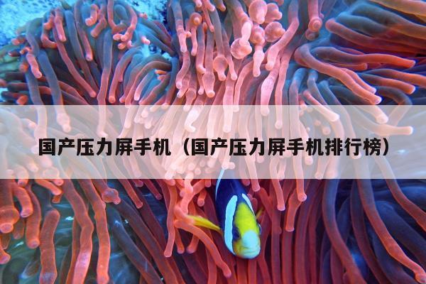 国产压力屏手机（国产压力屏手机排行榜）