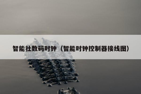 智能社数码时钟（智能时钟控制器接线图）