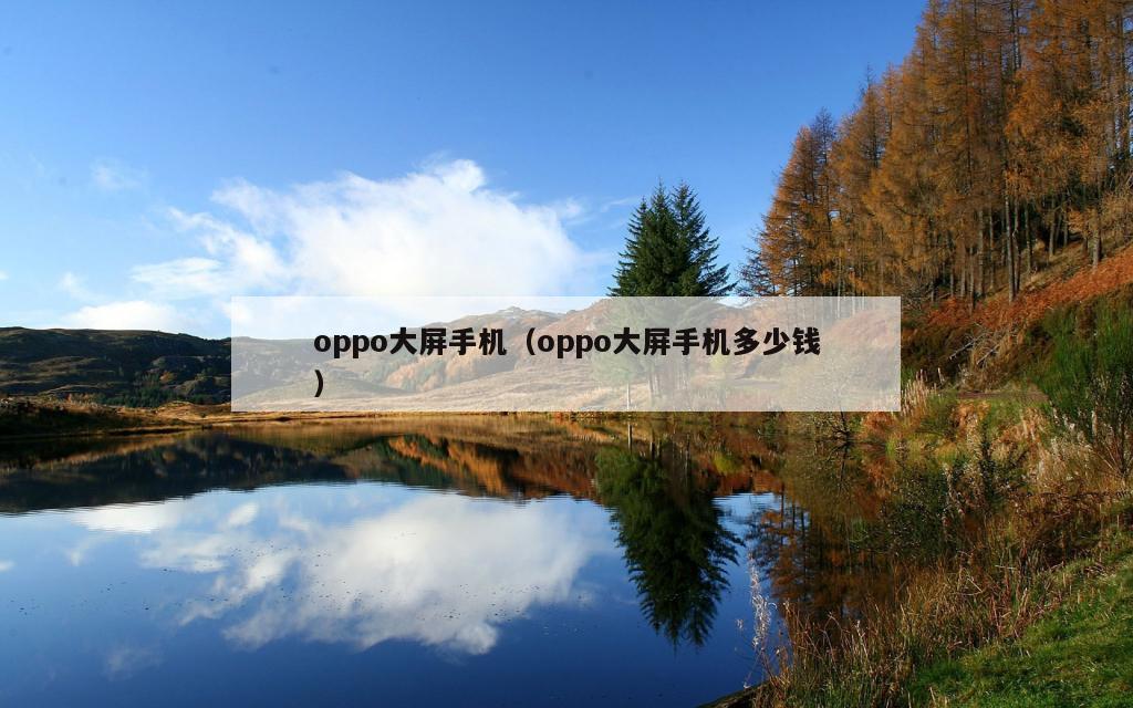 oppo大屏手机（oppo大屏手机多少钱）