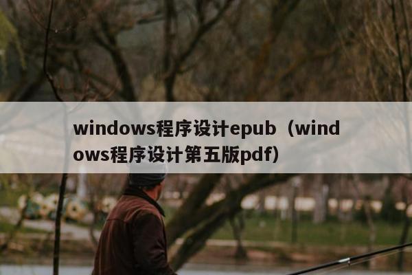 windows程序设计epub（windows程序设计第五版pdf）