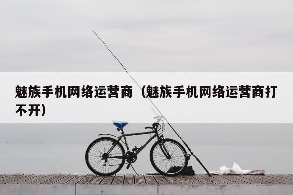 魅族手机网络运营商（魅族手机网络运营商打不开）