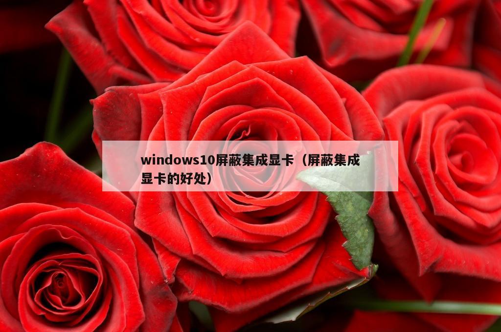 windows10屏蔽集成显卡（屏蔽集成显卡的好处）