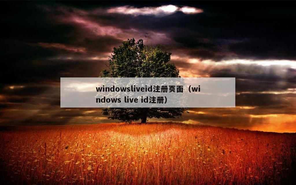 windowsliveid注册页面（windows live id注册）