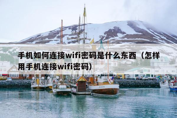 手机如何连接wifi密码是什么东西（怎样用手机连接wifi密码）