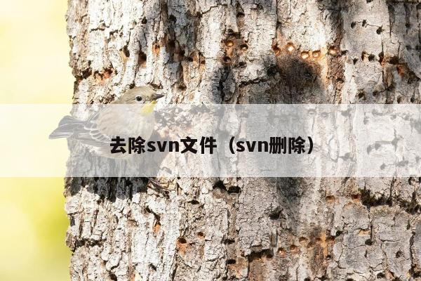 去除svn文件（svn删除）