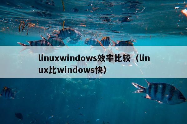 linuxwindows效率比较（linux比windows快）