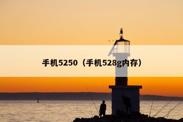 手机5250（手机528g内存）