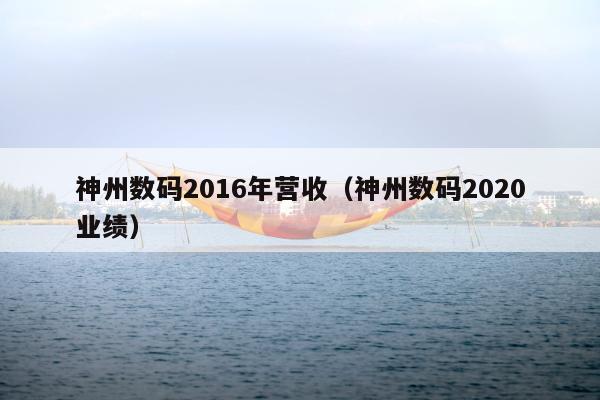 神州数码2016年营收（神州数码2020业绩）