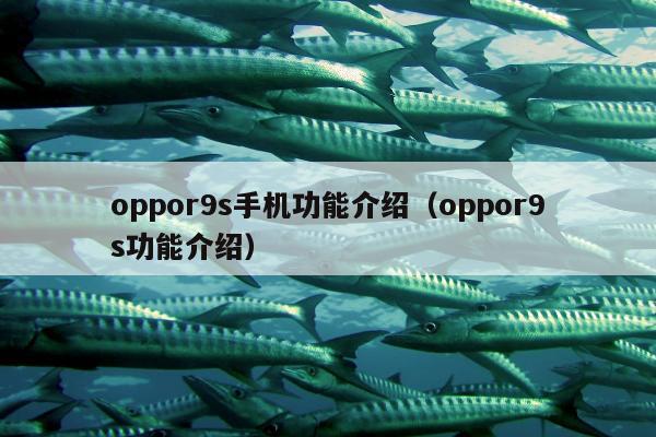 oppor9s手机功能介绍（oppor9s功能介绍）