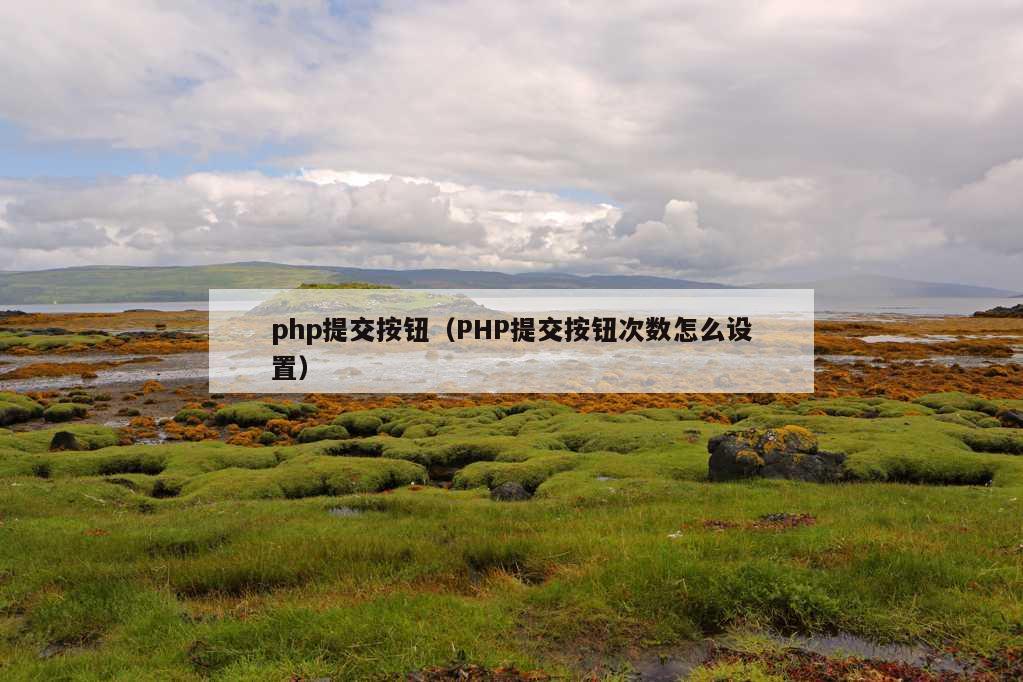 php提交按钮（PHP提交按钮次数怎么设置）